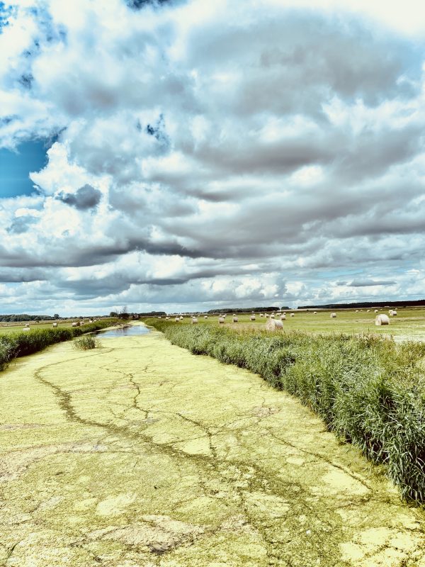 Urlaubszeit – auch bei Anika und&nbsp;Timm!